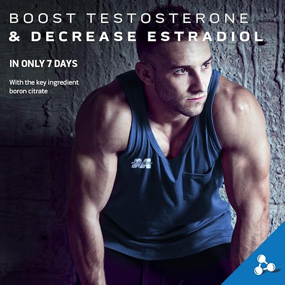 ماسل بیلدر پی ام ماسل تک 30 عددی - Image 3