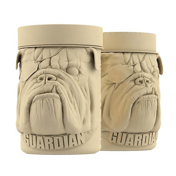 ریکاوری بی سی ای ای سگ زوماد لبز - Image 2