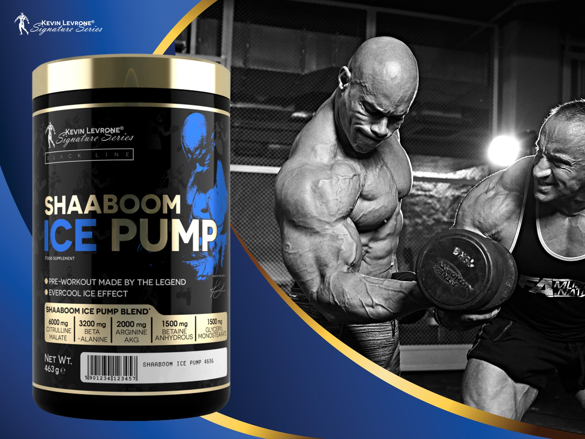 شابوم ایس پمپ کوین لورون - Image 3